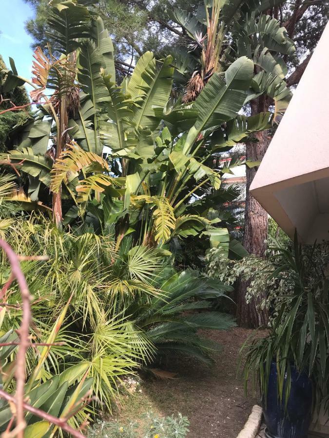Ferienwohnung 19 Rue Du Parc Alexandre III Cannes Exterior foto